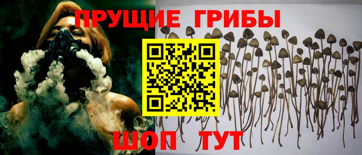 Гулькевичи  Псилоцибиновые грибы ЛСД  Вход с VPN  Галлюциногенные грибы мухоморы 
