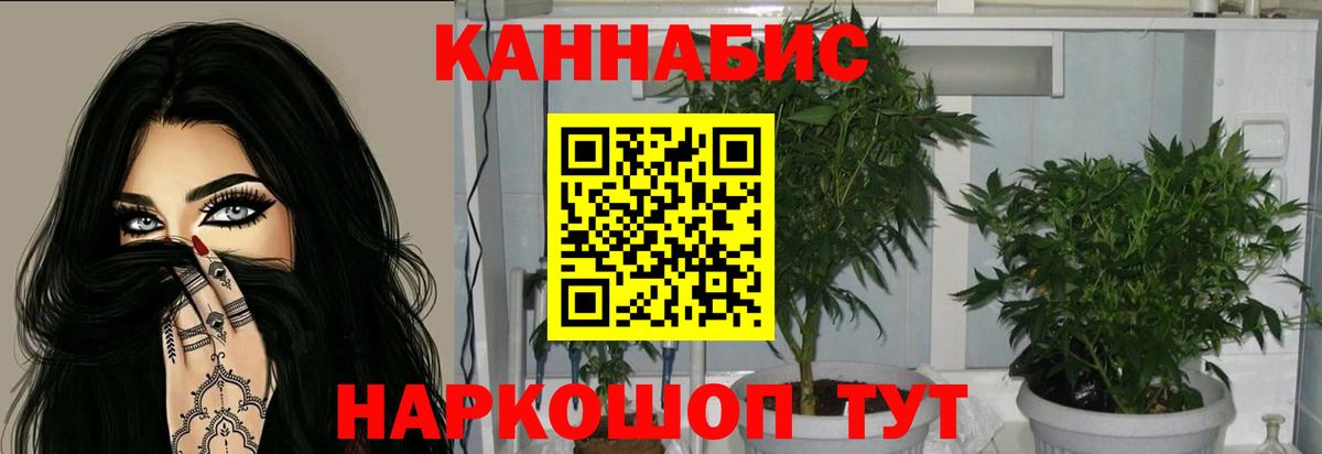 Канабис MAZAR Гулькевичи